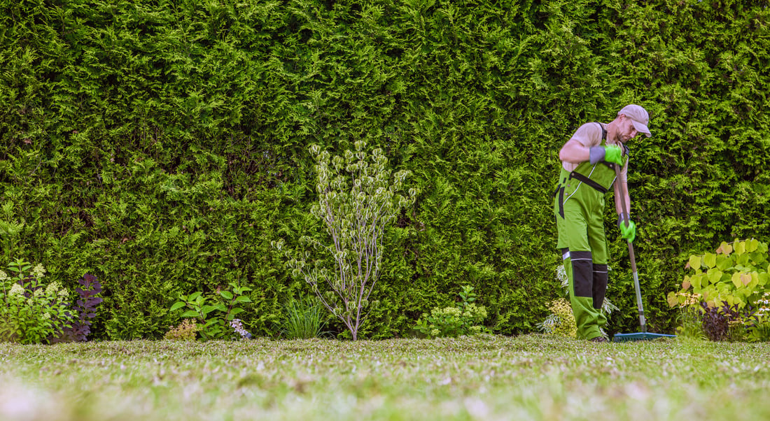 Landscaper Cleaning Residential Backyard Garden